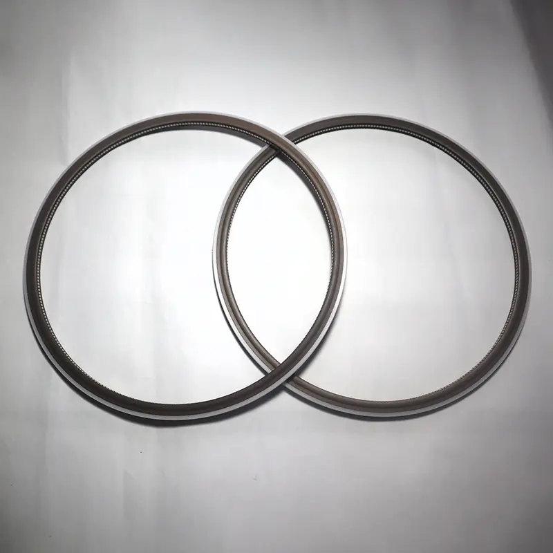 End Flange Spring Energized Seals End Flange Spring Energized Seals